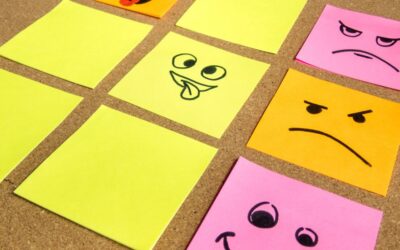 La misión de las emociones