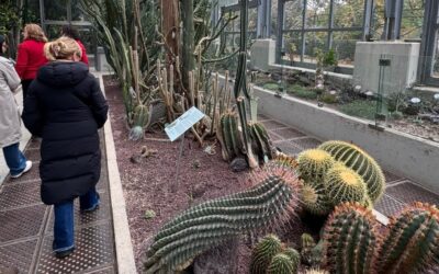 Visita al Jardín Botánico