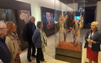 Visita Museo Arqueológico Nacional