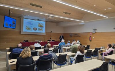Las rosquillas del Santo y otros condumios de las Fiestas de San Isidro